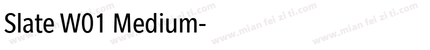 Slate W01 Medium字体转换